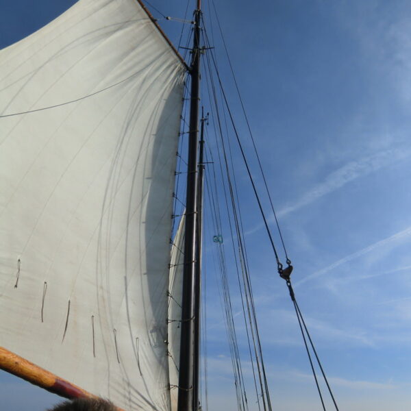 CIMG1366.JPG CIMG1366.JPG