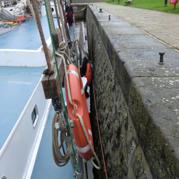 CIMG1383.JPG CIMG1383.JPG