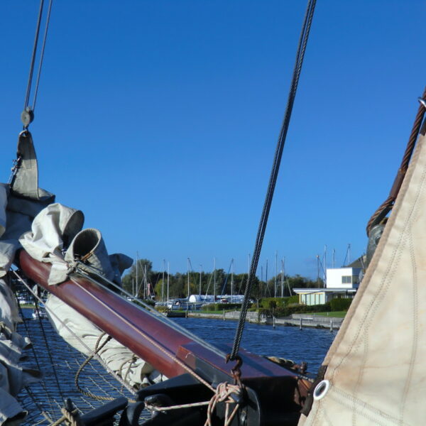 CIMG1424.JPG CIMG1424.JPG