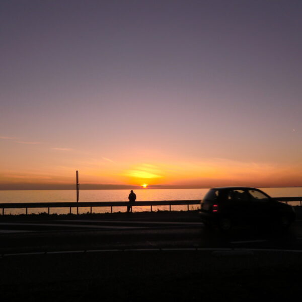 CIMG1447.JPG CIMG1447.JPG