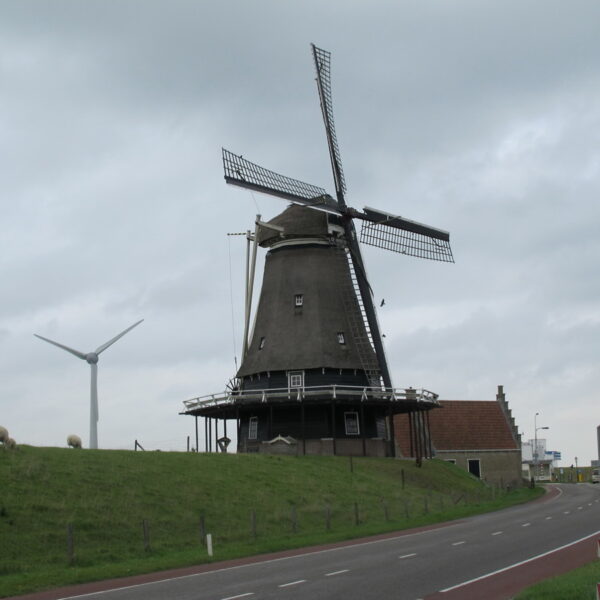 IMG_2602.JPG IMG_2602.JPG