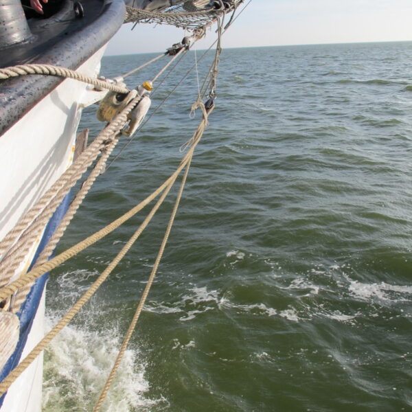 IMG_2696.JPG IMG_2696.JPG