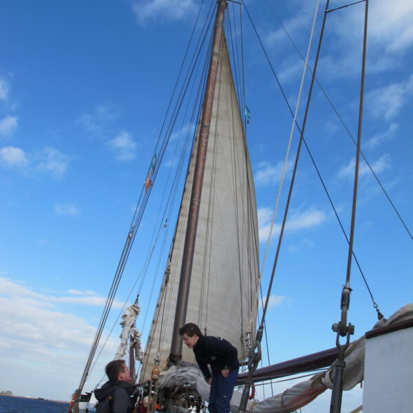 IMG_3065.JPG IMG_3065.JPG