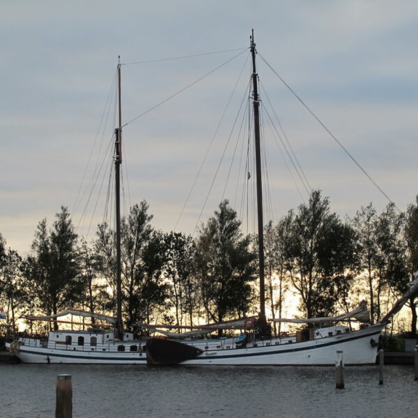 IMG_3127.JPG IMG_3127.JPG