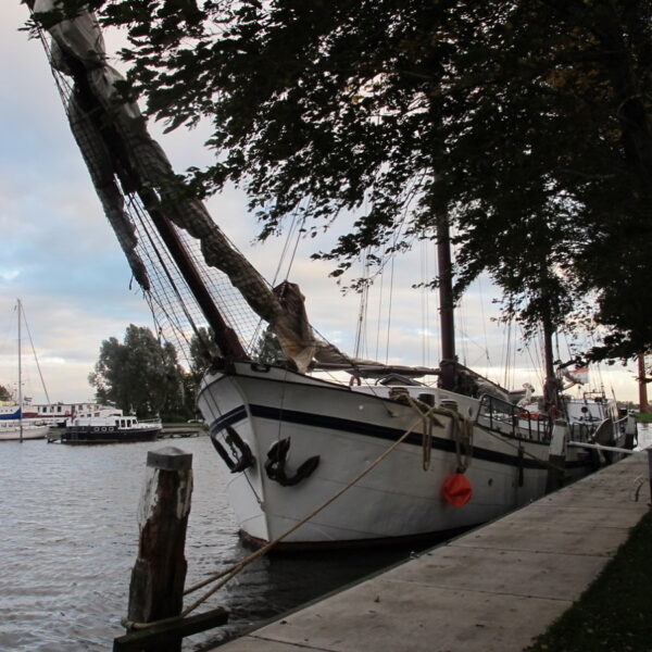 IMG_3145.JPG IMG_3145.JPG