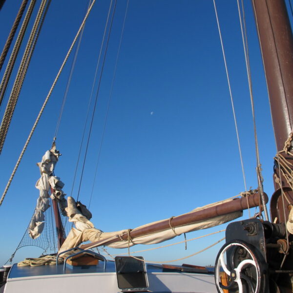 IMG_3267.JPG IMG_3267.JPG