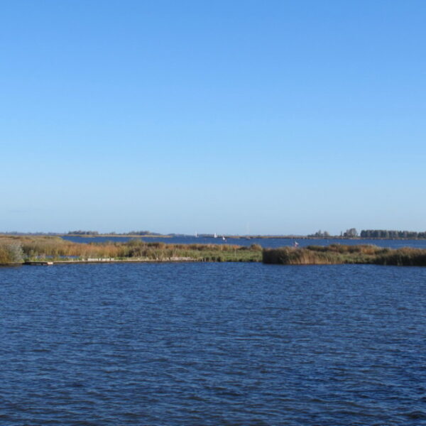 IMG_3283.JPG IMG_3283.JPG