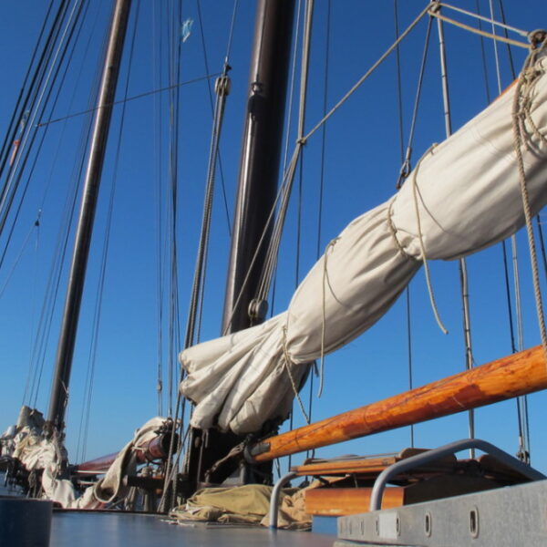 IMG_3293.JPG IMG_3293.JPG