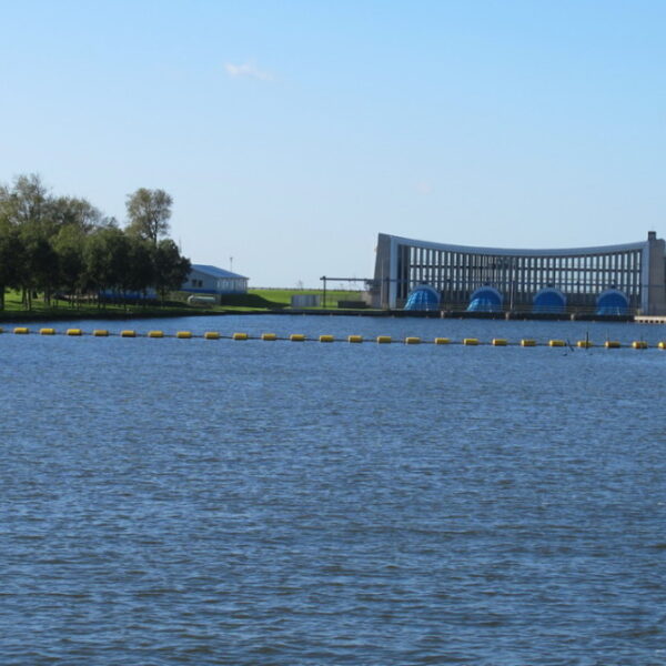 IMG_3337.JPG IMG_3337.JPG