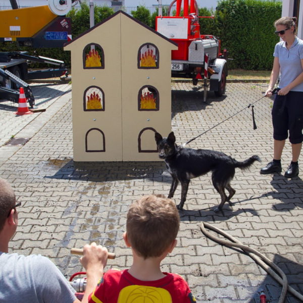 A07H7557.jpg A07H7557.jpg