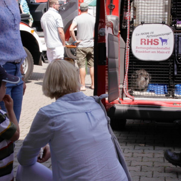 MG_3960g.jpg MG_3960g.jpg