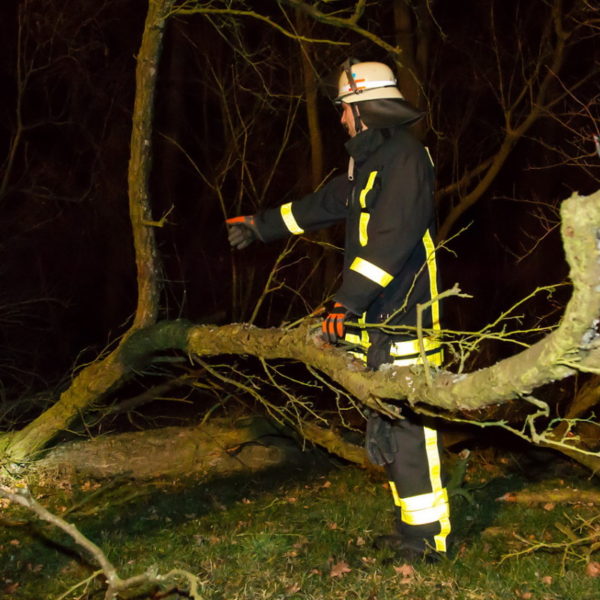 28.01.2016 Übung Kettensäge am Schützenhaus 28.01.2016 Übung Kettensäge am Schützenhaus