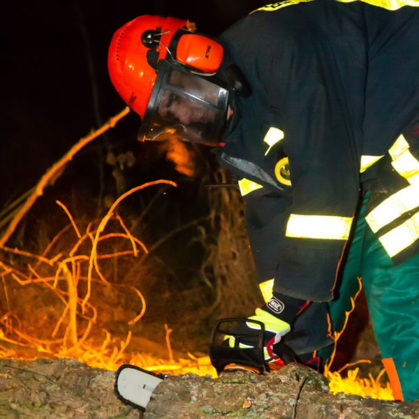 28.01.2016 Übung Kettensäge am Schützenhaus 28.01.2016 Übung Kettensäge am Schützenhaus