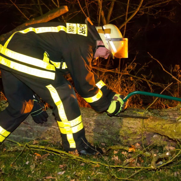 28.01.2016 Übung Kettensäge am Schützenhaus 28.01.2016 Übung Kettensäge am Schützenhaus