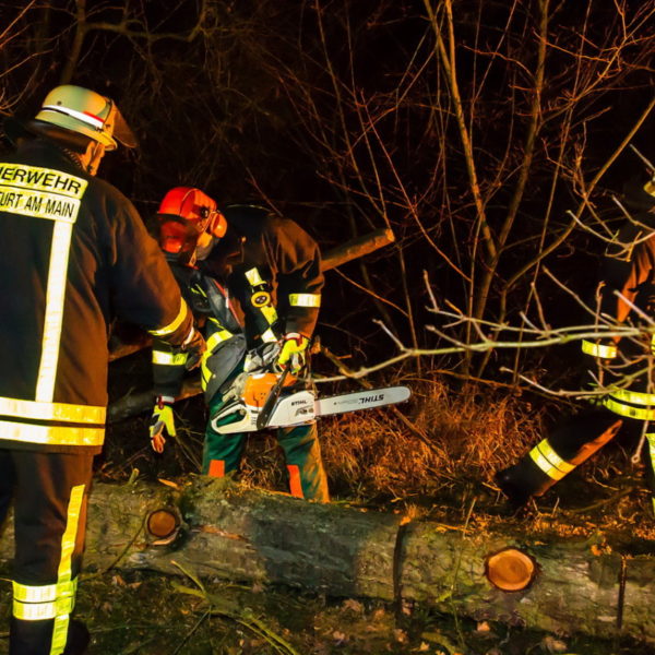 28.01.2016 Übung Kettensäge am Schützenhaus 28.01.2016 Übung Kettensäge am Schützenhaus