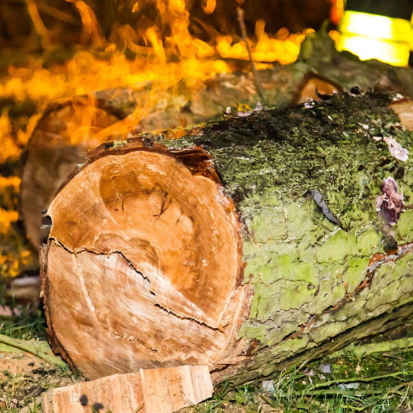 28.01.2016 Übung Kettensäge am Schützenhaus 28.01.2016 Übung Kettensäge am Schützenhaus