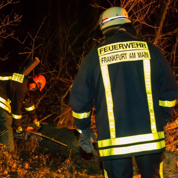 28.01.2016 Übung Kettensäge am Schützenhaus 28.01.2016 Übung Kettensäge am Schützenhaus