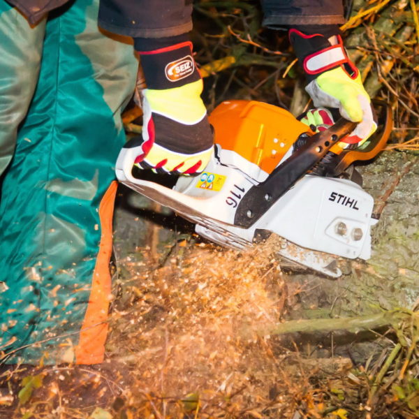 28.01.2016 Übung Kettensäge am Schützenhaus 28.01.2016 Übung Kettensäge am Schützenhaus