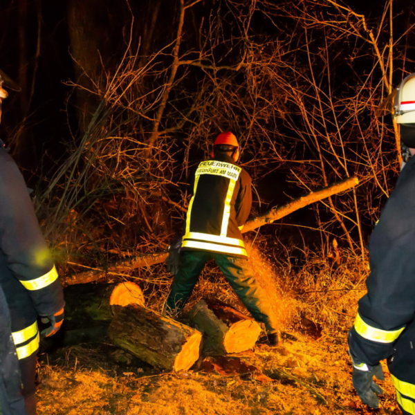 28.01.2016 Übung Kettensäge am Schützenhaus 28.01.2016 Übung Kettensäge am Schützenhaus