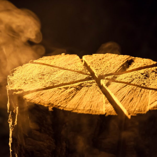 28.01.2016 Übung Kettensäge am Schützenhaus 28.01.2016 Übung Kettensäge am Schützenhaus