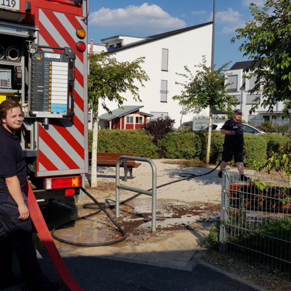 Bewässern der jungen Bäume