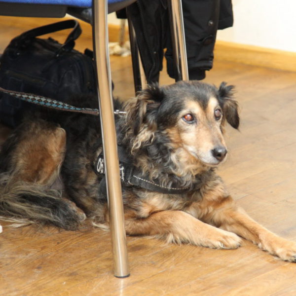 Neujahrsempfang 07.02.2019